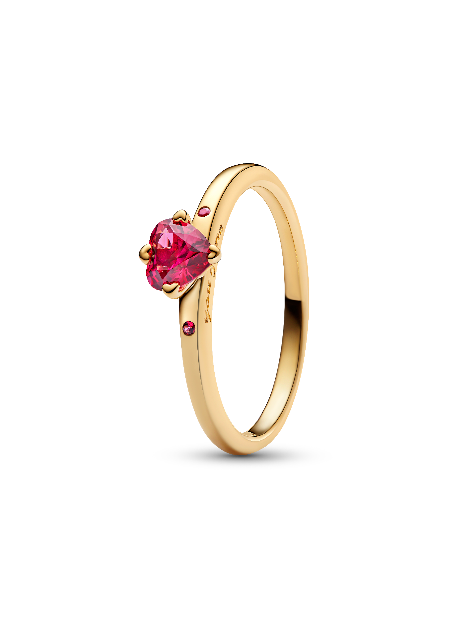 Anillo Explosión de Amor