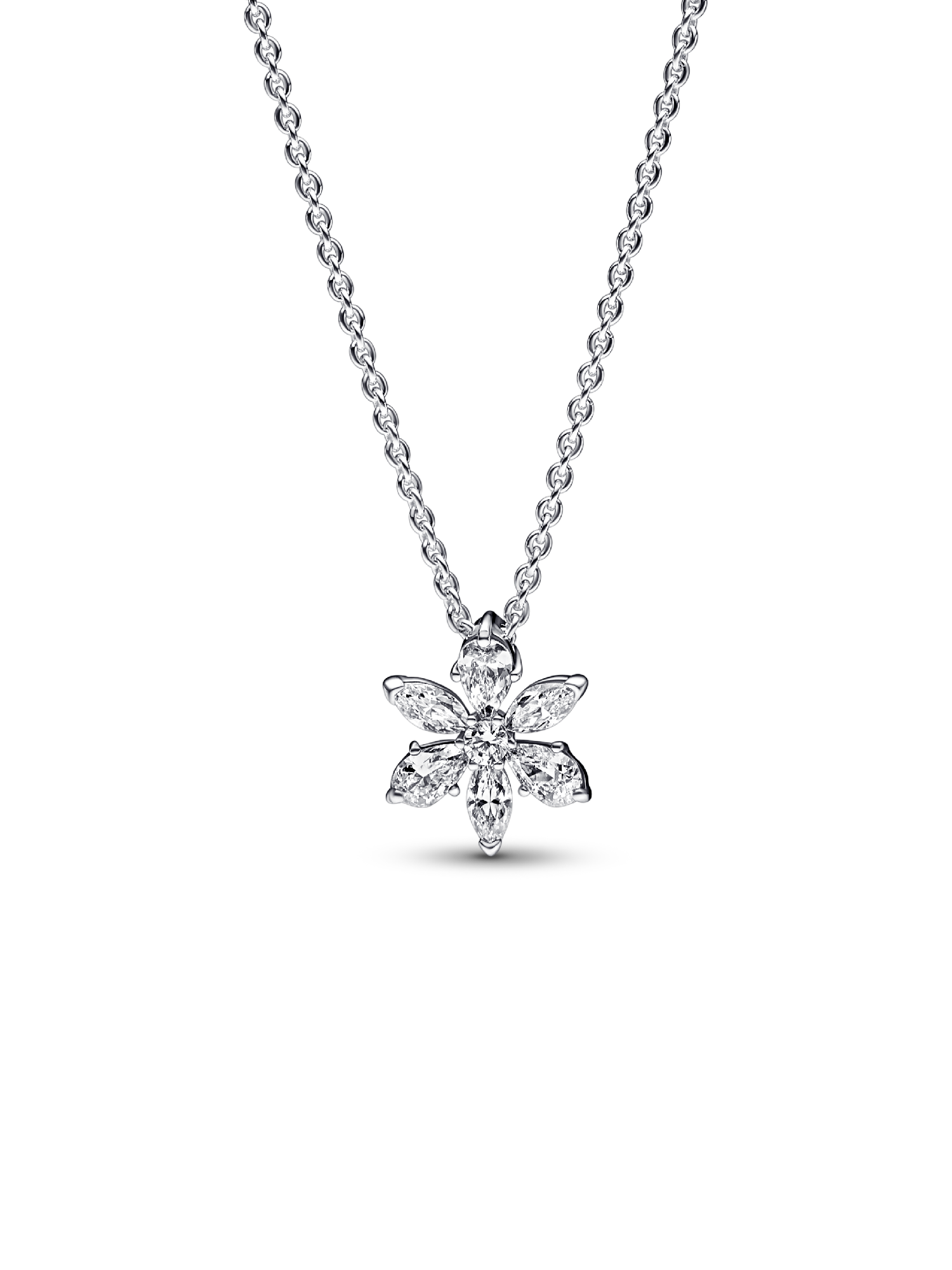 Collar con Colgante Racimo Herbario Brillante
