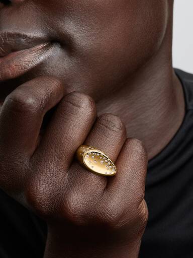 Anillo Sello Cúpula Ovalada con Piedras