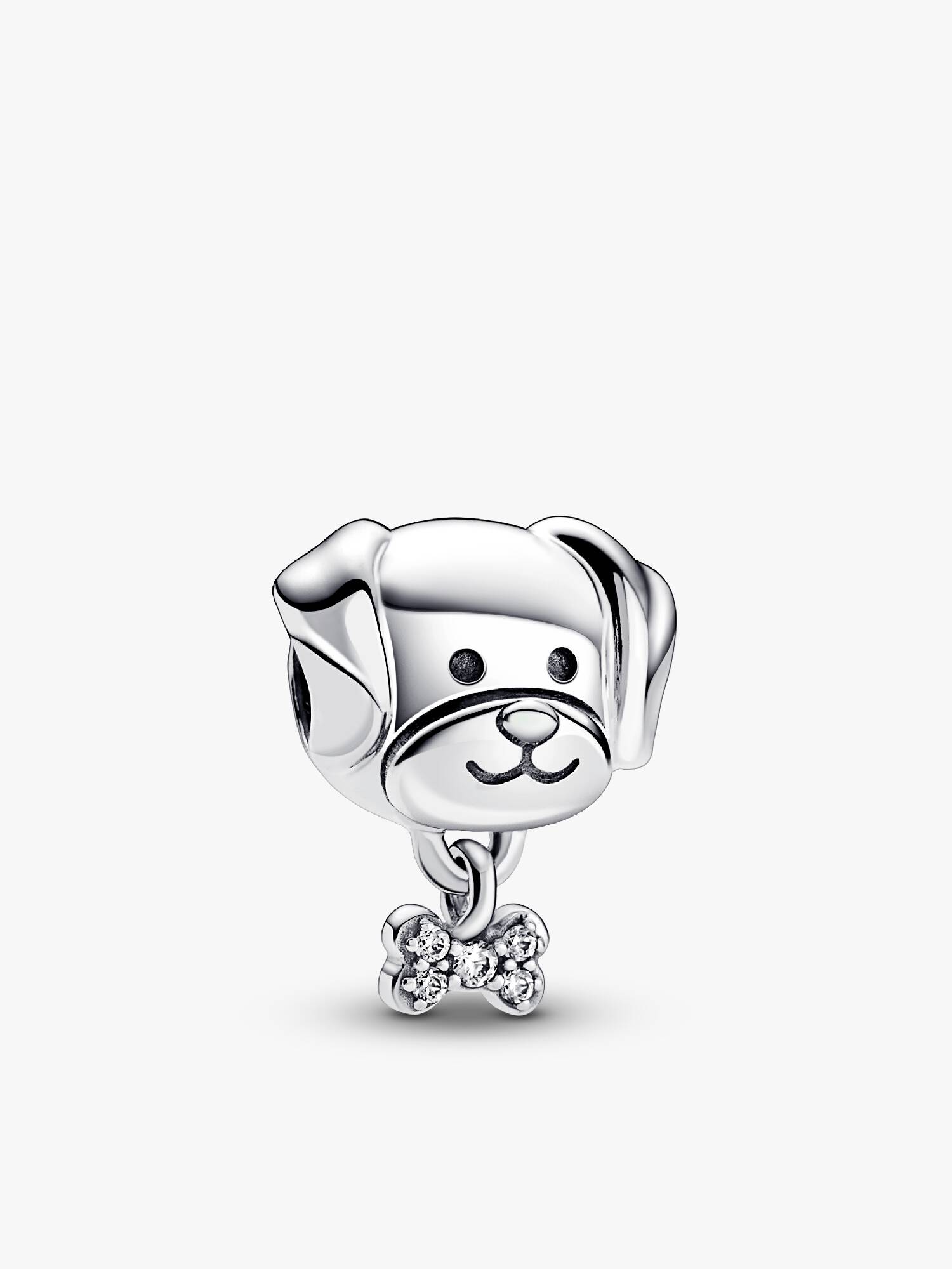 Charm Perro mascota y hueso