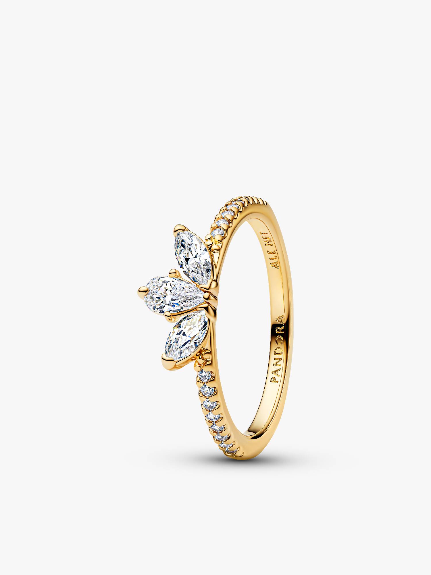 Anillo Racimo herbario reluciente