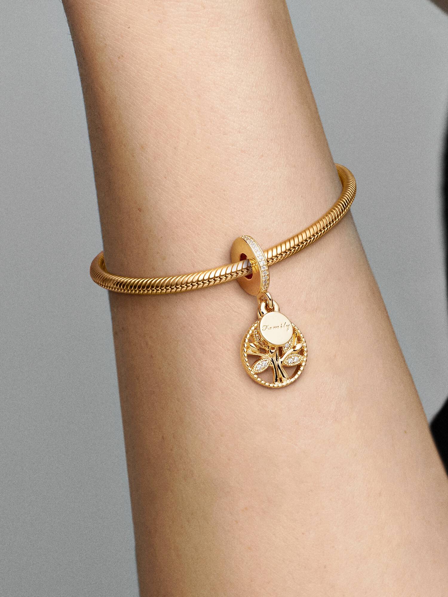 Charm colgante Árbol de familia reluciente
