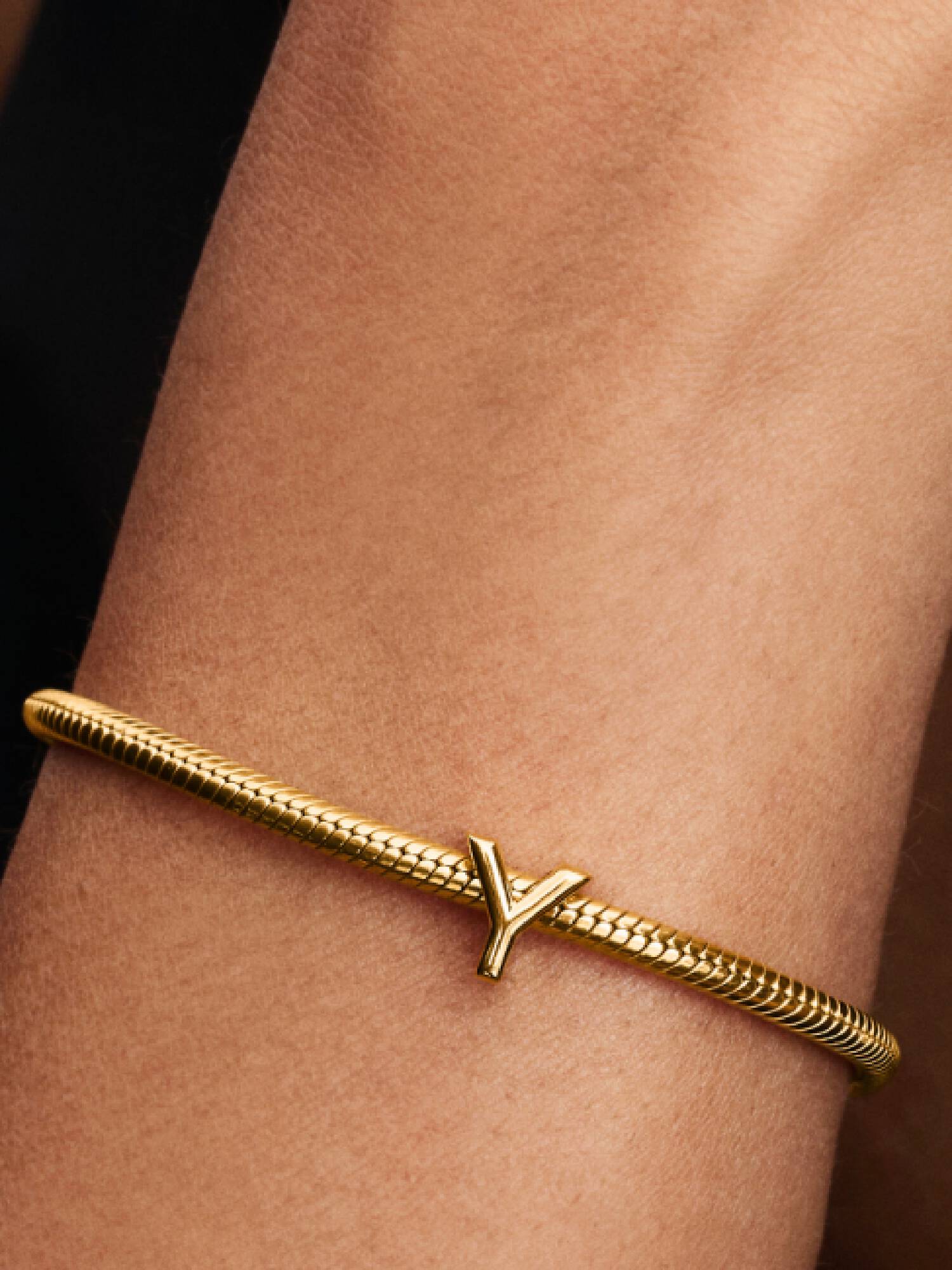 Charm del alfabeto Letra Y
