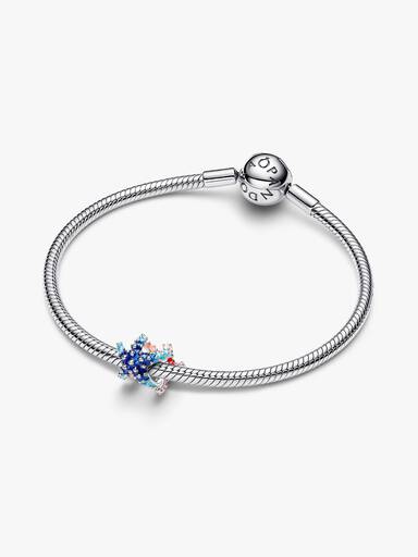 Mini Charm Estrella de Mar colorida