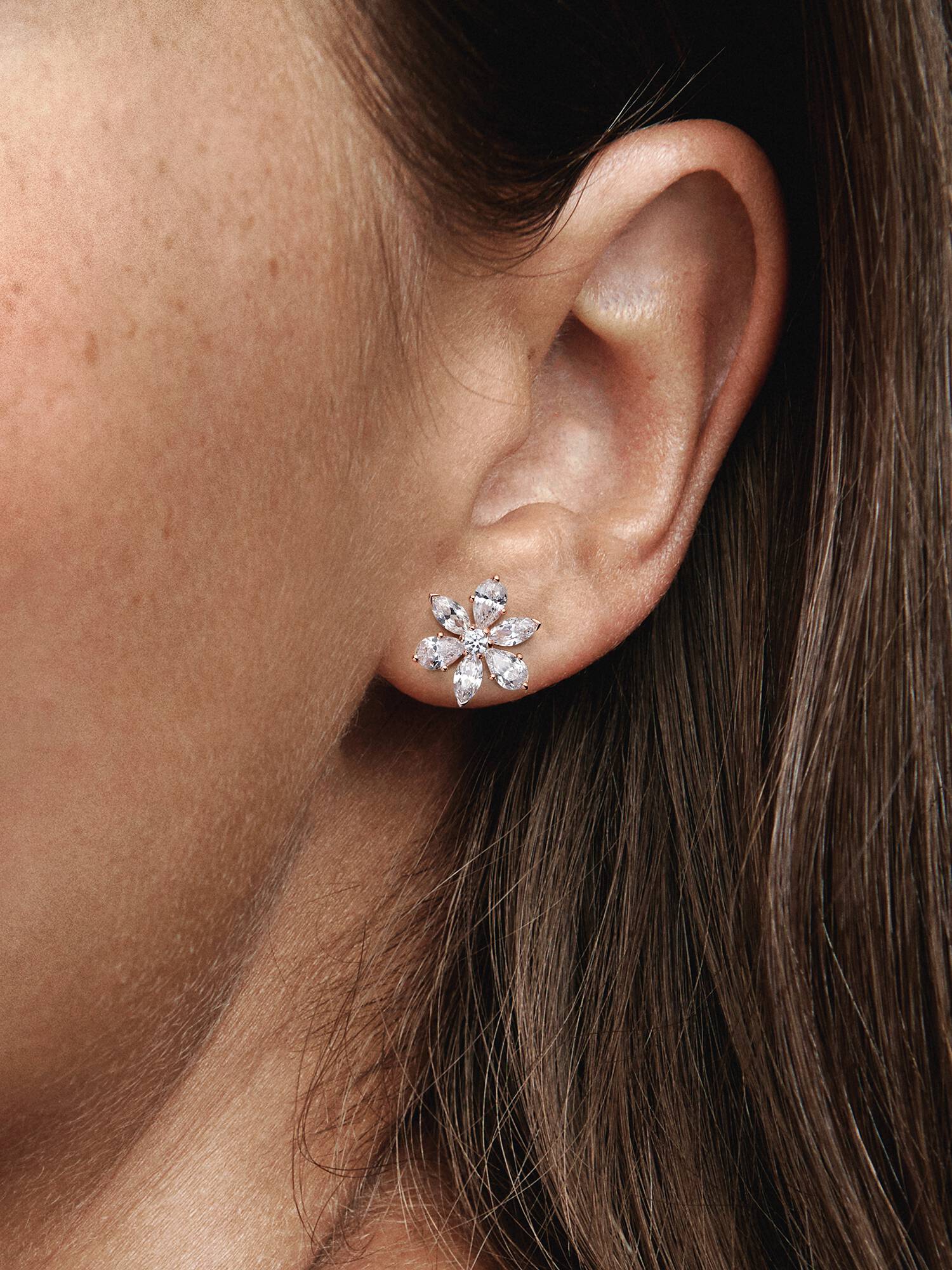 Aretes de botón Racimo Herbario Brillante