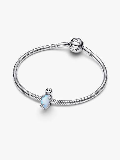 Charm Foca