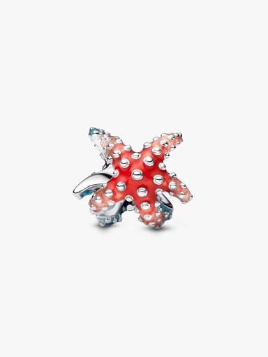 Mini Charm Estrella de Mar colorida