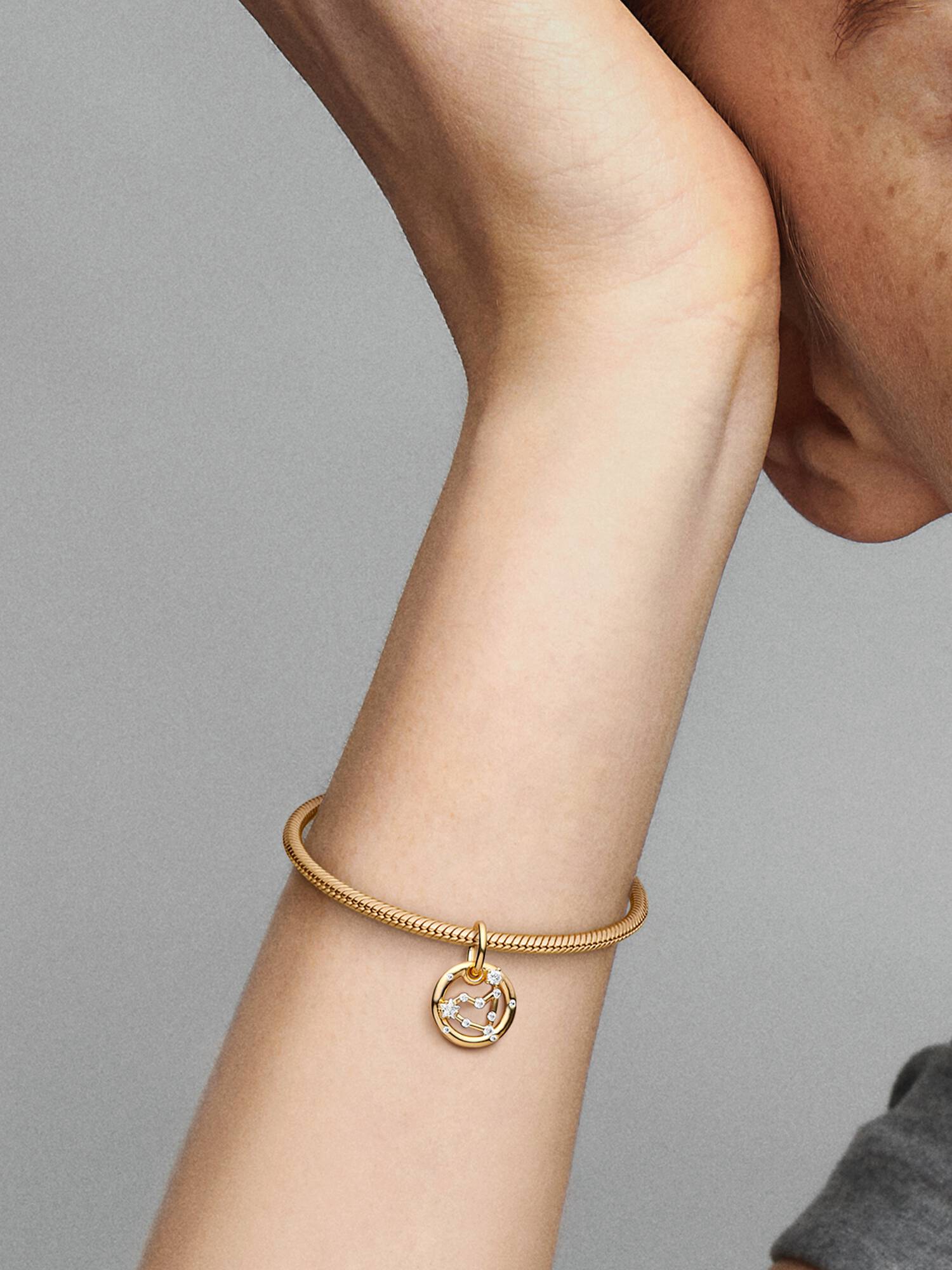 Charm colgante del signo zodiacal Capricornio